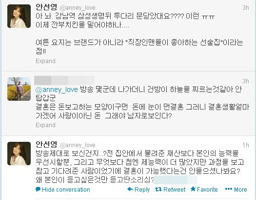 안선영, 네티즌과 설전.."재산보다 능력을 중시할 뿐"