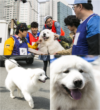 상근이 아들 호야, '1박2일 시즌3' 등장