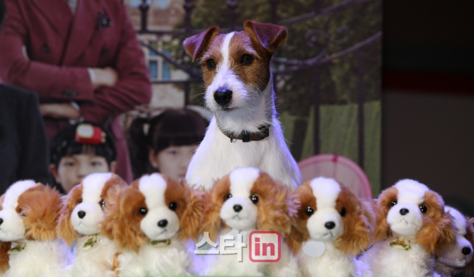 [포토]제작보고회에 등장한 강아지 윌리