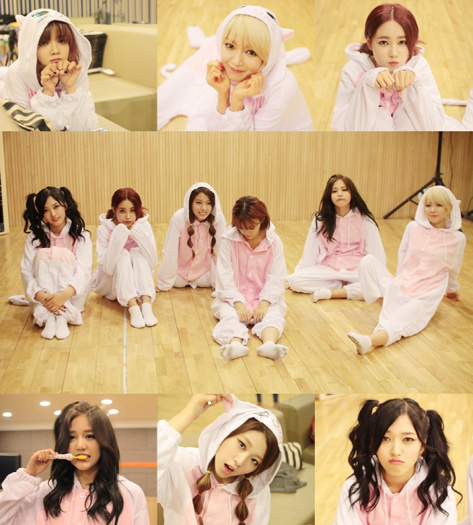 AOA, 고양이 잠옷 입고 애교 발산 '남심 홀릭'