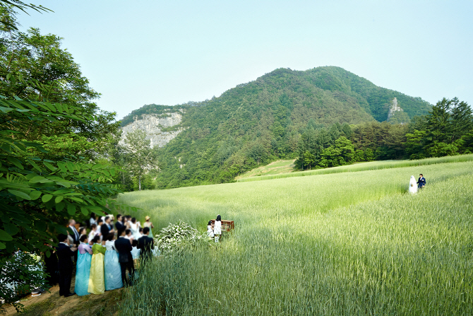 [포토] 원빈·이나영 결혼식