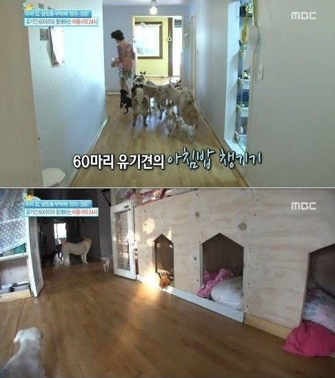 이용녀 "유기견 60마리와 생활, 사랑으로 키운다"
