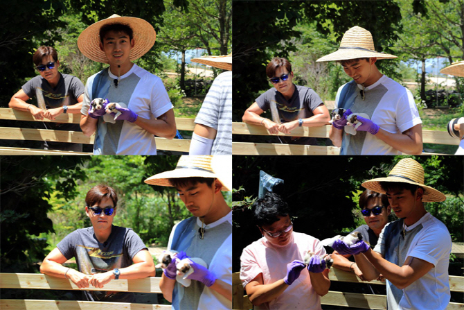 `삼시세끼` 밍키 2세 공개.. "바둑이? 아버님이 누구니"