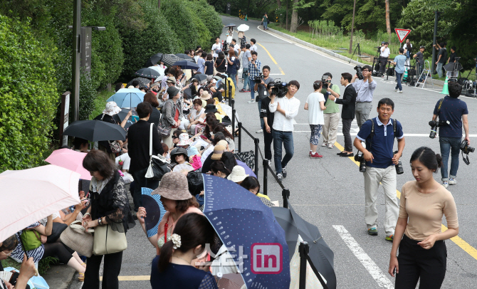 [포토]더위도 막을수 없는 욘사마 사랑