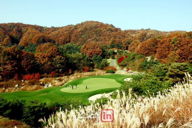 골프부킹서비스 XGOLF "주말 골퍼 위해 파격 할인"