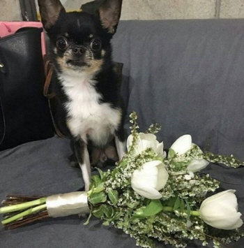 매드클라운, 5월 15일 일반인 여자친구와 결혼 "축하해주셔서 감사"