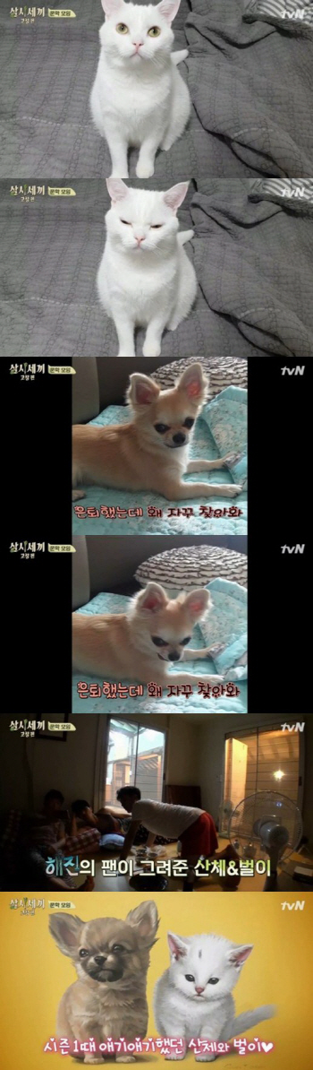 '삼시세끼' 산체·벌이 근황공개, 폭풍성장에도 여전한 귀요미들
