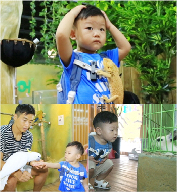 '슈퍼맨' 대박, 최강 담력 인증 '도마뱀과 일심동체?'