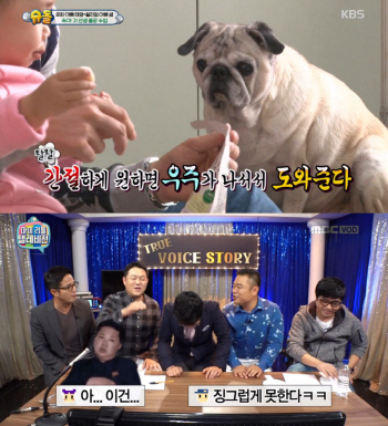 ②"순하고 실한 주인"…예능 자막의 세태 풍자