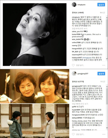 송강호·최강희·조민기…스타도 故 김영애 추모 행렬