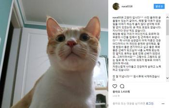 장나라, 박보검과 결혼설에 "나이·외모 왜 함부로" 분통