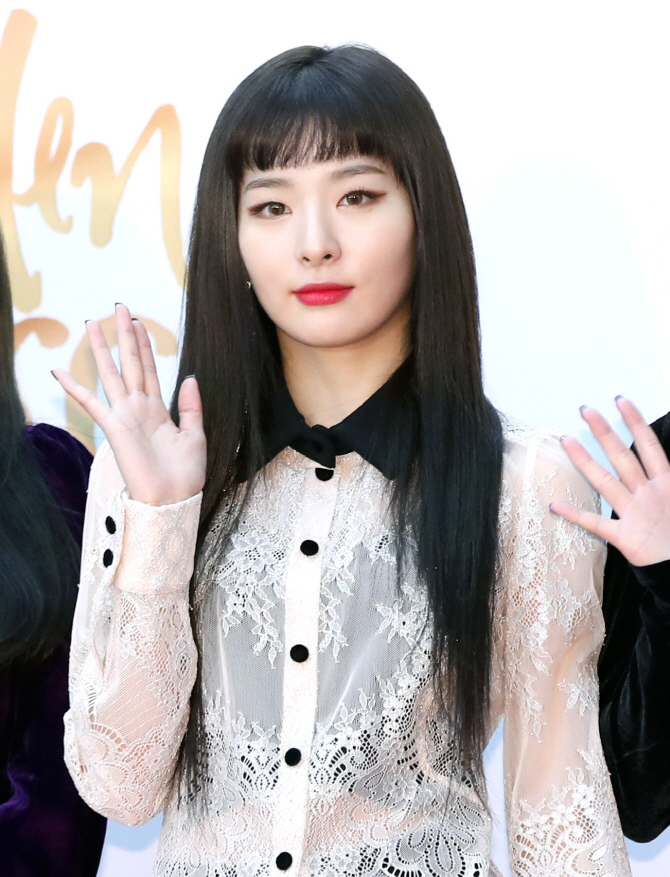 레드벨벳 슬기, '은은한 망사의상'