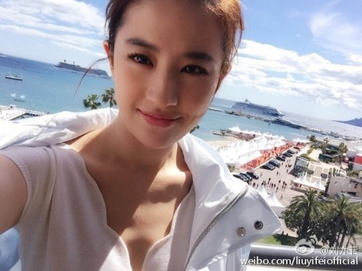 '송승헌과 결별' 유역비 누구? 中 톱스타..'제2의 왕조현'