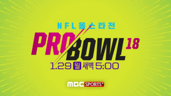 ‘NFL 올스타전’ 프로볼, 29일 개막