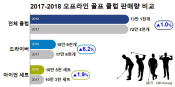 2018년 국내 골프 클럽 판매량 1% 증가..여성용은 3년 간 최대 28% 늘어