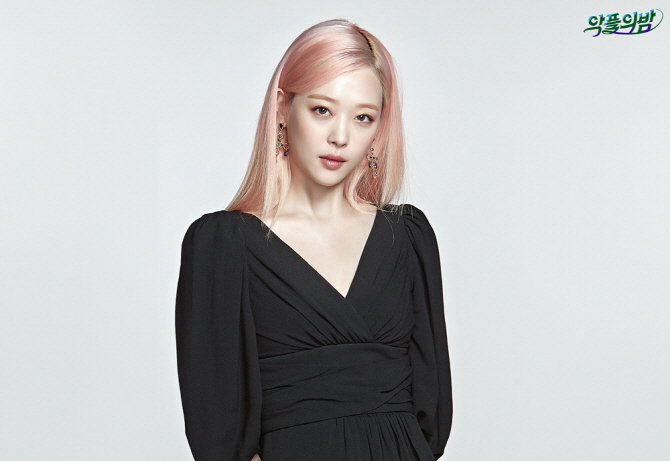 '악플의 밤' 설리 "'엑세서리' 발언, 공감해 주셔서 감사"