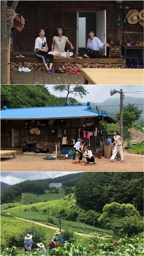 '삼시세끼-산촌편', 8월 편성..염정아·윤세아·박소담 출격