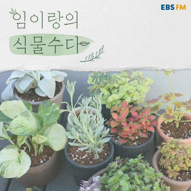 디어클라우드 임이랑, EBS ‘오디오천국 식물수다’ DJ 발탁