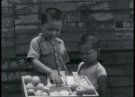 1952³â ¿µÈ `žçÀÇ °Å¸®`