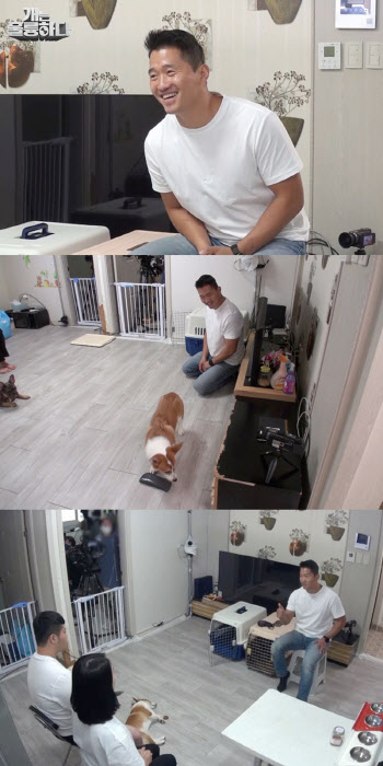 '개훌륭' 강형욱, '유혈사태' 매일 싸우는 반려견들 '해결법은?'