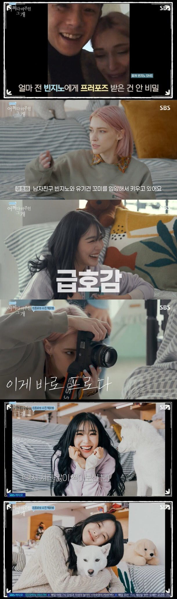 '어쩌개' 스테파니 미초바 "빈지노와 최근 유기견 입양"