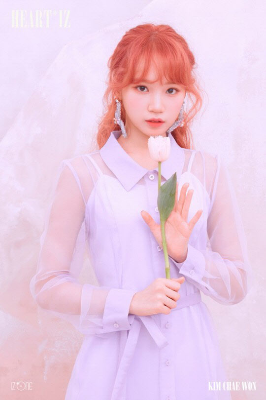 아이즈원 김채원, 하이브행?… "계약 내용 확인 불가"