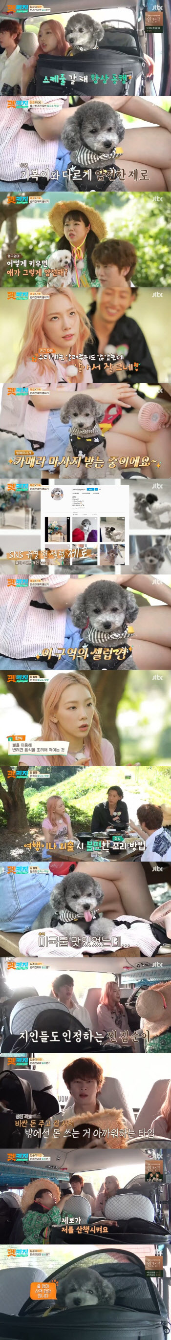 '펫키지' 태연 "찐 집순이…반려견 제로가 날 산책시킬 정도"