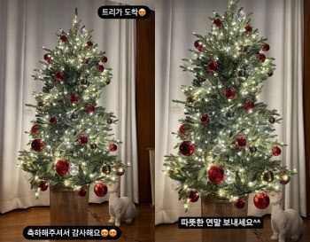 손담비♡이규혁 열애 인정→럽스타그램 시작…"축하 감사해"