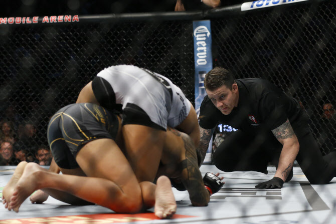 '최강' 누네스가 무너졌다...페냐, 대이변 연출 UFC 새 챔프 등극