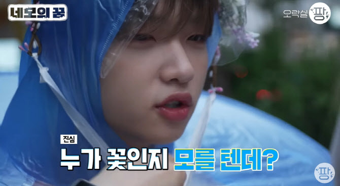 미래소년 손동표, 웹예능 단독 MC 도전