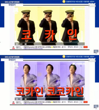 허성태 '코카인 댄스' 영상이 국감 현장에…"마약 예방 공익광고 모델"