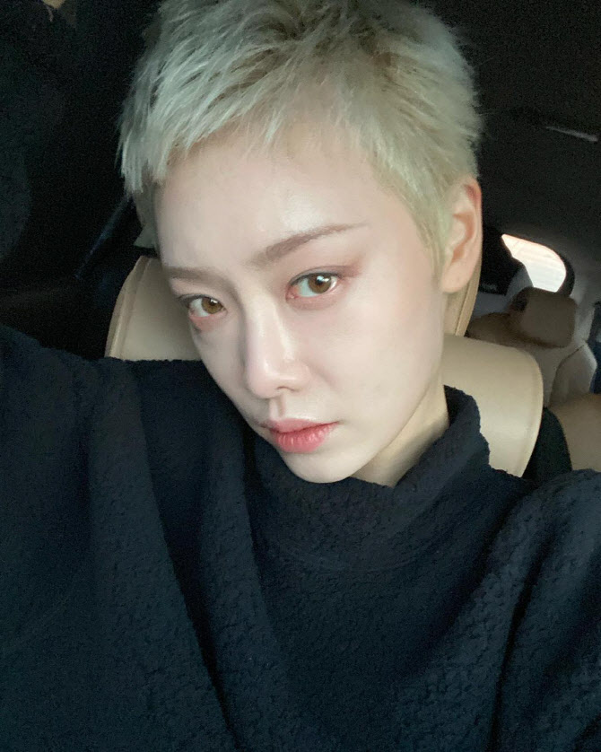 지수→조병규·박혜수…학폭 의혹→공백 딛고 정면돌파 택한 ★들[스타in 포커스]