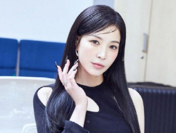 SM, 보아 관련 대규모 소송 진행… "선처·합의無" 