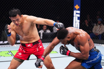 UFC 라이트헤비급 정다운, 佛 원정서 아쉬운 판정패...4연패 수렁