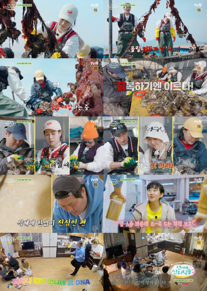 900kg 굴 조업 시작…'프로 일잘러' 김재화X윤경호도 놀란 역대급 노동(언니네 산지직송2)