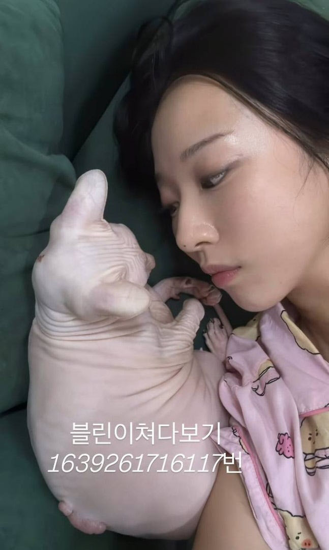 김선아, 故 설리 반려묘 근황 공개