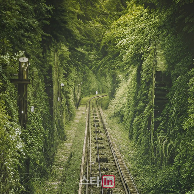 싱어송라이터 나르, 새 자작곡 '믿지 못한' 발매