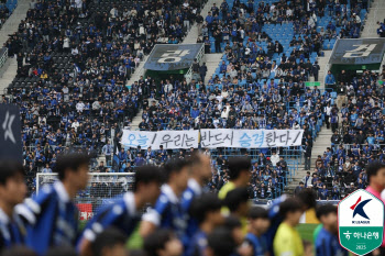 K리그2 인천, 조기 우승 확정... 1년 만에 K리그1 복귀