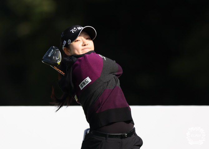 올해도 KLPGA 투어에선 '핑골프'가 대세