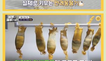 '동훌륭' 은지원·장도연·데프콘 "저게 반려동물?" 깜짝