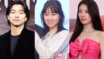 공유·공효진·수지 소속사, 악플 강경 대응…"단호히 대처" [전문]
