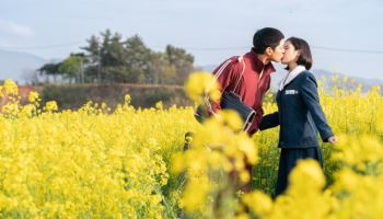 제주 어촌마을까지 만든 '폭싹' 미술감독 "힘든 작업에도 이탈자 無"[일문일답]