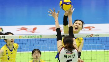 양효진·강소휘, 8억 원으로 연봉퀸... 남자부는 12억 원의 황택의