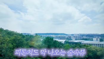 송은이, 50살에 독립…숲뷰 아파트 공개
