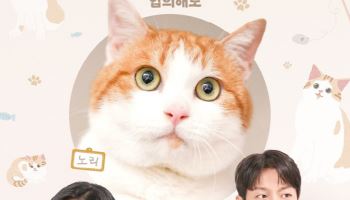 '냥육권 전쟁' 윤두준·김슬기, 10년 만에 재회…이혼 부부 된다