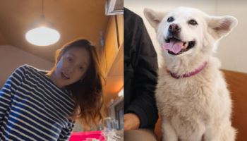 이효리, 암투병 반려견 떠나보내… "잘 가라, 석삼이"