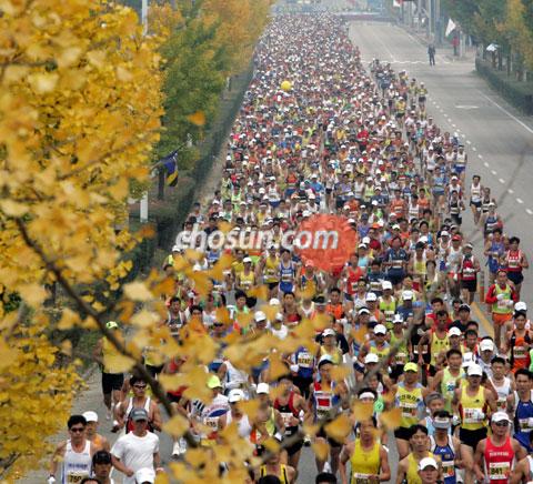한국 마라톤 '희망의 싹' 틔울 기대주는?