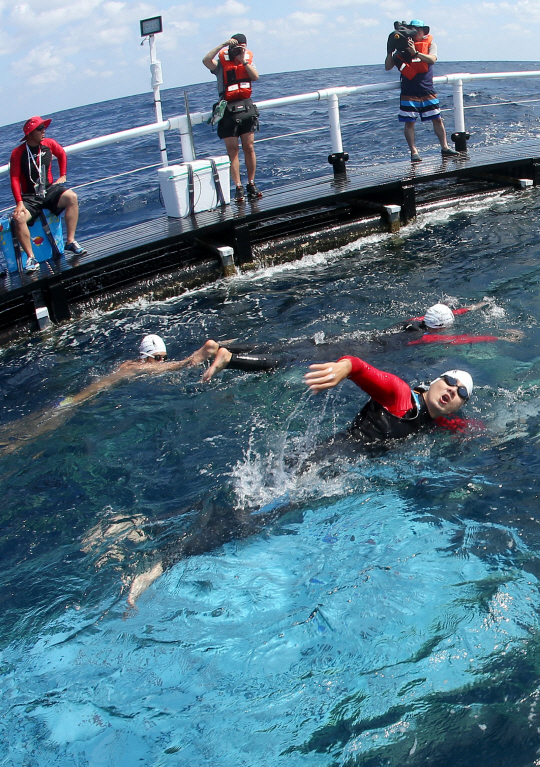  `독도 횡단` 철인 송일국 독도를 향해..                                                                                                                                                            