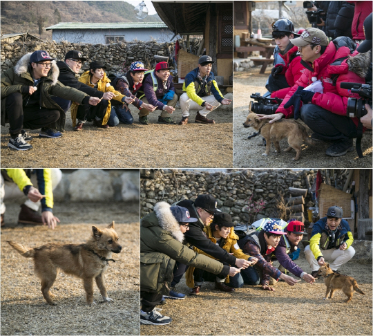 '1박2일' 칸토스, 상근이 이을 국민犬 탄생?.."유호진PD 흡족"