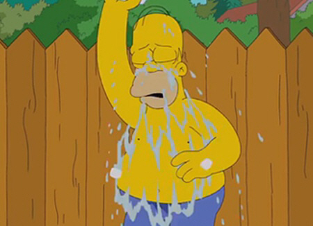 호머 심슨, 아이스버킷챌린지 동참.. 아들 바트가 '폭풍 물세례'                                                                                                                                  